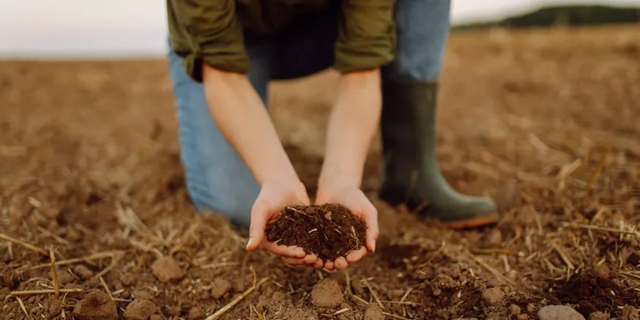 Illustrative image of Organic soil management in Birmingham Alabama